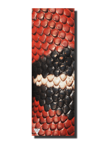 The Animal Series Yoga Mat (Comes in Different Designs)