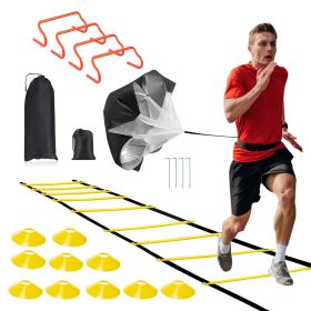 Speed Agility Training Equipment Set For Pro Beginner Including Cones Parachute Stakes Hurdles 19.68FT Ladder