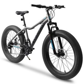 Ecarpat 26 Inch Fat Tires Mountain Bike, 4-Inch Wide Wheel, 21-Speed Disc Brakes, Mens Womens Trail Beach Snow Commuter City Mountain Bike